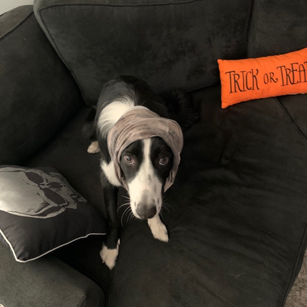 Meet your Posher, Jason